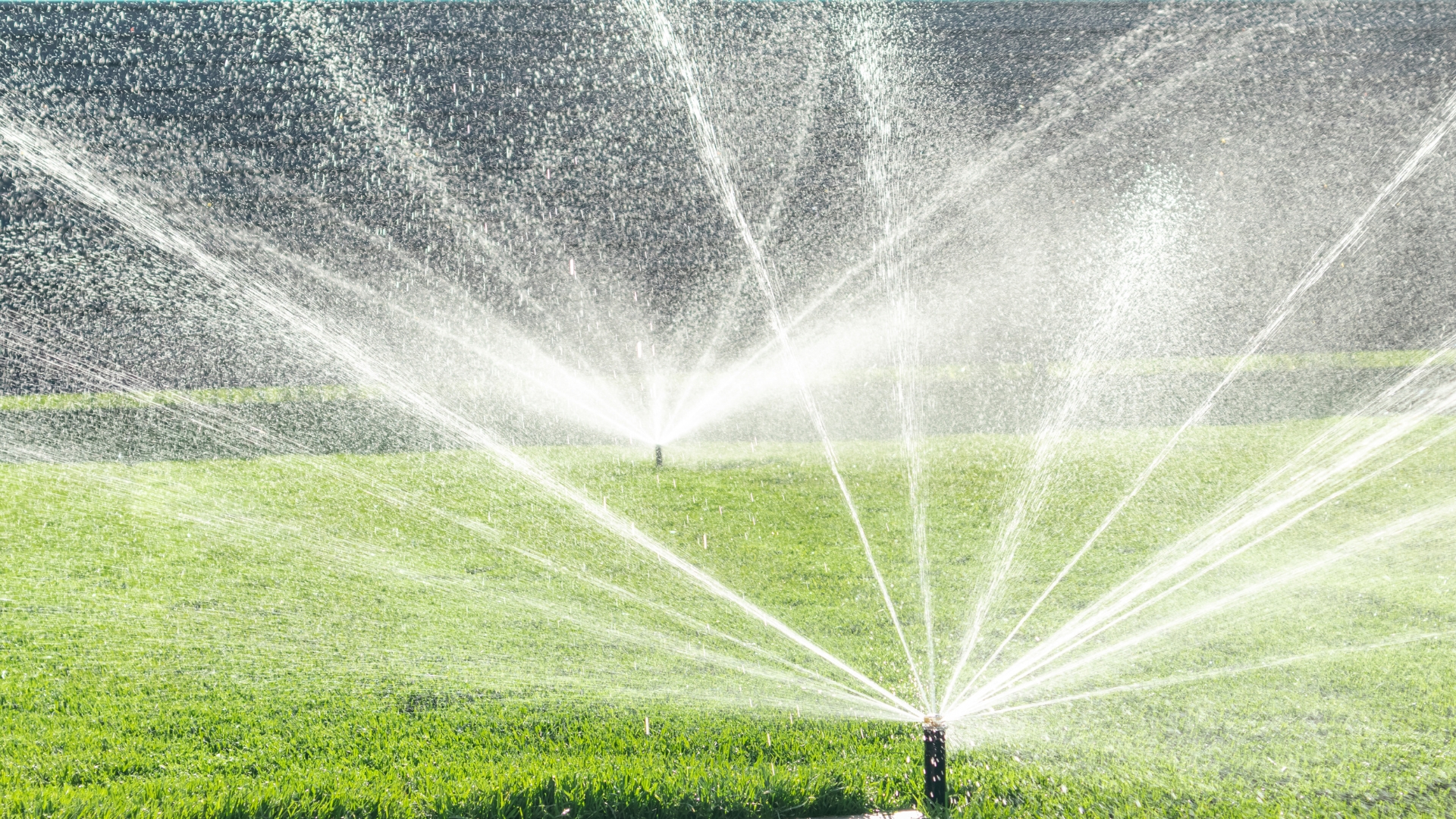 Image presents Auto-Timer Irrigation Systems Installation